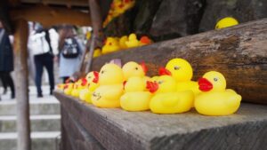ゴールデンウィークに家族で楽しめる格安温泉は？