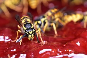 ゴールデンウィークに温泉を楽しむための混雑が少ない穴場は？