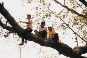 ツリーハウスに宿泊する子連れファミリーにおすすめの体験は？