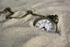 家族旅行で食事時間を調整するためのコツは？