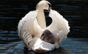 GWに赤ちゃんを連れて外出する際の離乳食の方法は？