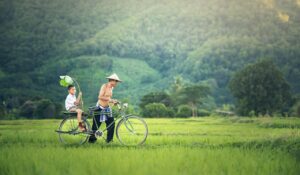 ゴールデンウィークに家族旅行で楽しめる雨の日の観光地は？