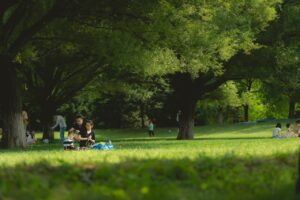 ゴールデンウィークの家族旅行に保険は必要なのか？