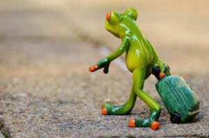 ゴールデンウィークの旅行はどのくらいの規模が理想？