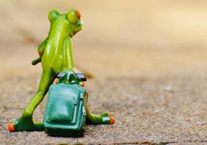 ゴールデンウィークの旅行で知っておくべき便利な情報は？